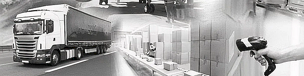 Supply Chain Germany